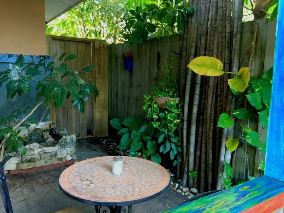 Miami Oasis Near Everglades & The Keys *