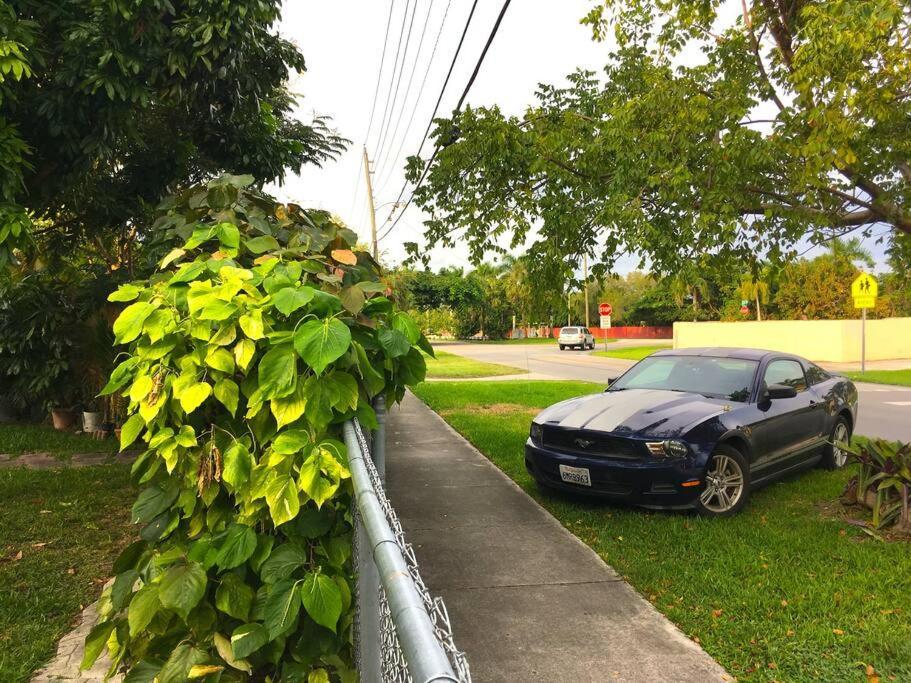 Miami Oasis Near Everglades & The Keys Holiday home Cutler Bay