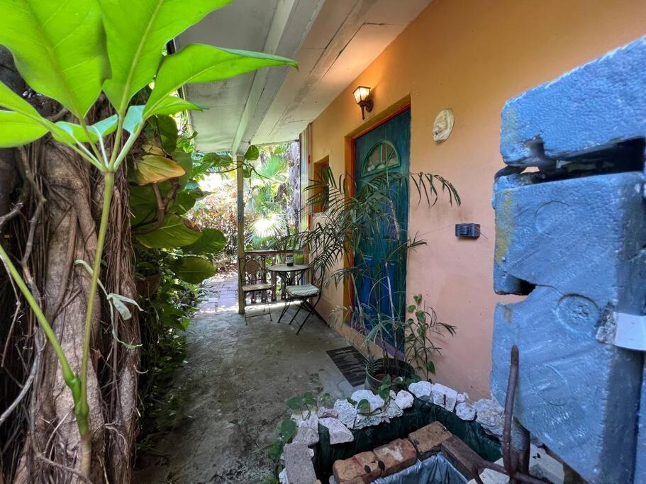Miami Oasis Near Everglades & The Keys Cutler Bay
